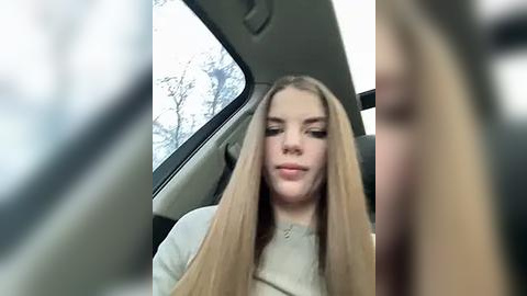 Media: A video of a young Caucasian woman with long, straight blonde hair, wearing a light-colored sweater, sitting in a car. The background features a blurry view of a snowy landscape outside the window.