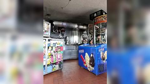 Media: Video of a small, cozy restaurant with a stainless steel kitchen, bright blue refrigerators, colorful wall art, and a wooden floor.