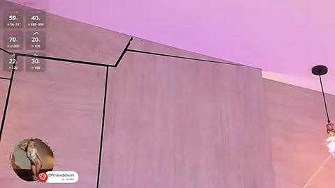 Media: Video of a modern, minimalist architectural wall with a smooth, light gray texture under a pink sky. A small, brown, rectangular object is attached to the wall, and a person wearing a white shirt is partially visible on the right.