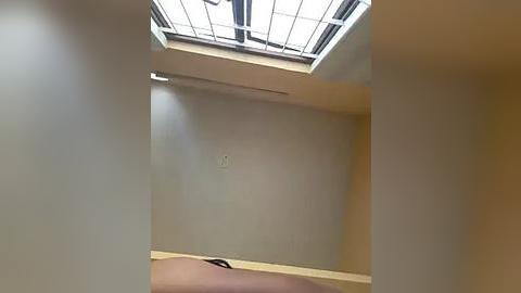 Media: A video of a dimly lit room with a beige ceiling and walls, featuring a large skylight with a metal frame and glass panes, casting soft light. The floor is covered in a light brown carpet.