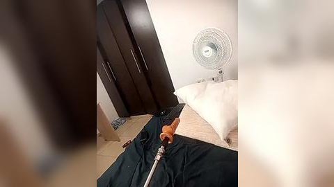 Media: Video of a person lying on a bed with a large, black, sliding wardrobe door open, revealing a white fan and beige wall. The person holds a screwdriver, indicating home repair.