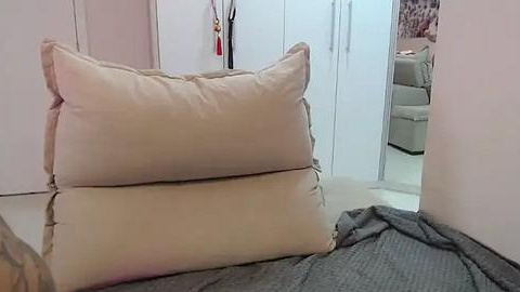 Media: Video of a neatly made bed with beige pillows and a grey blanket, featuring a white wardrobe and a glimpse of a living room with a beige sofa.