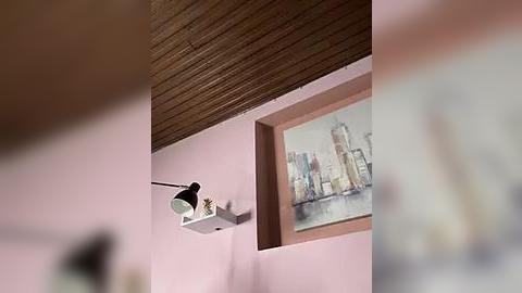 Media: Video of a room with pastel pink walls, a wooden ceiling, a minimalist white shelf holding a small lamp, and a framed sailboat painting on the right.