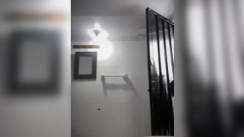 Media: A blurry video of a modern, minimalist hallway with a black-framed mirror, white walls, and a white towel rack. The image is slightly out of focus, suggesting a low-light environment.