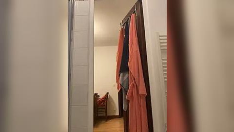 Media: Video of a narrow hallway with beige walls, wooden floor, and a white door on the left. On the right, a dark wooden door holds multiple hanging garments, including a pink robe and a blue shirt. A wooden chair with a red cushion is visible in the background.