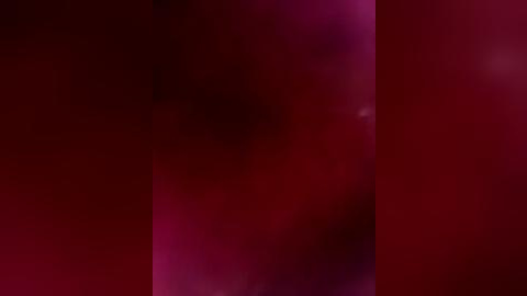 Media: This is a digitally blurred video featuring a vertical red and purple gradient background, creating a soft, abstract aesthetic. The image lacks discernible objects or figures, focusing on a gradient transition from dark red to lighter purple hues.