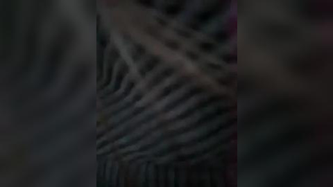 Media: A blurred video depicting a zebra's striped pattern with a dim, indistinct background, suggesting an indoor setting. The image is grainy and lacks clarity, making the zebra's stripes the focal point.