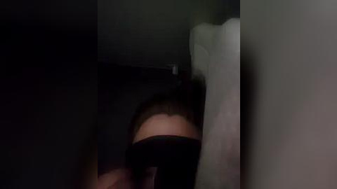 Media: Video of a dimly lit room with a person's upper body partially obscured by a white sheet, suggesting a bed or couch. The room's walls are dark, and the lighting is low, creating a moody atmosphere.