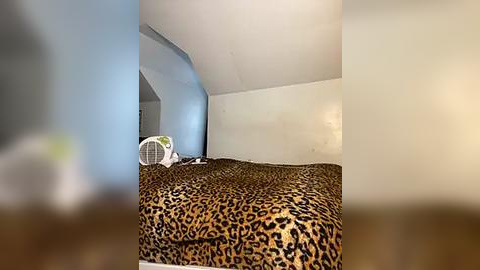 Media: Video of a small, cozy attic bedroom with a leopard-print comforter, a white fan, and beige walls. The room is sparsely furnished with minimal decor.