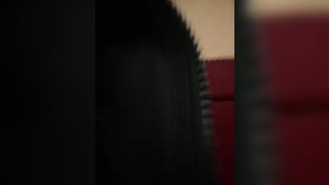 Media: A blurry video of a dark, possibly black, textured surface on the left, with a red cushioned area on the right, set against a muted beige background.