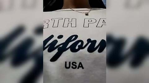 Media: A close-up video of a white T-shirt with \"RTH PA\" in bold letters at the top and \"ifloria USA\" in cursive script below. The background is blurred, featuring dark text.