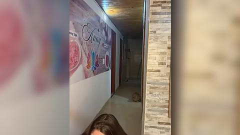 Media: Video of a narrow, dimly lit hallway with a colorful mural featuring a woman and butterflies on one side, a beige tiled floor, and a brown brick wall with a cat on the right.