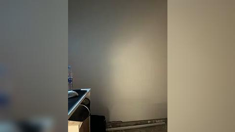 Media: Video of a minimalist, empty room with beige walls, a black desk, and a water bottle on the left, a black trash can on the floor, and a shadow cast on the wall.