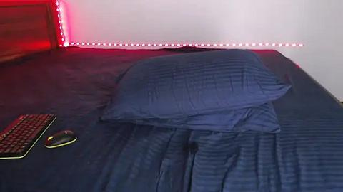 Media: Video of a dark blue, quilted bedspread with a pillow and keyboard on a wooden headboard, against a white wall with red LED strip lighting.