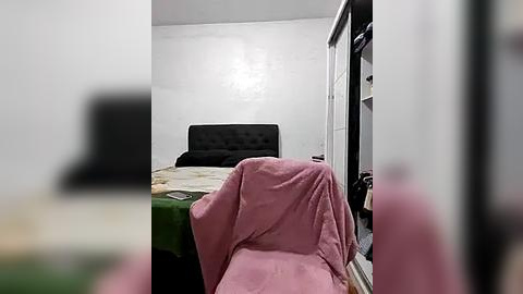 Media: A video of a small, sparsely furnished bedroom with a green bedspread, pink blanket, and white walls. The room has a black upholstered headboard and a partially open closet door.