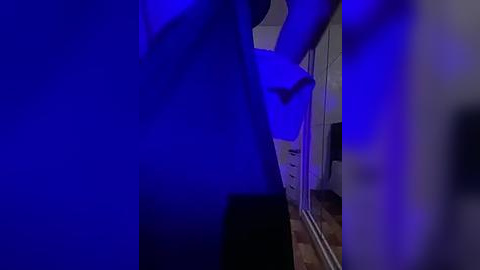 Media: A video of a dimly lit hallway with deep blue lighting, showing a person in silhouette, wearing a white top, standing near a closet door. The floor is wooden, and the walls are painted white.