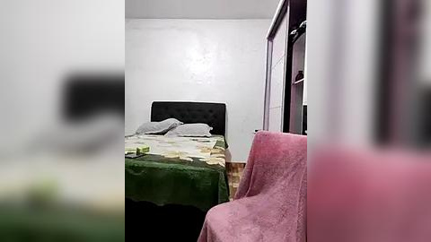 Media: Video of a small, dimly lit bedroom with a dark green bedspread, pink chair, and white walls. The bed has two pillows and a white sheet. A TV is partially visible on the left wall.