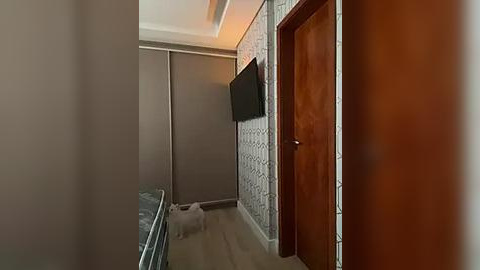 Media: Video of a modern, minimalist bedroom with beige walls, wooden door, and a flat-screen TV mounted on a light gray wall. A small, pink dog stands near the foot of a bed with a dark blue comforter.