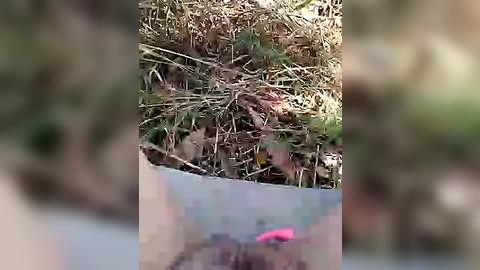 Media: A video of a brown, dried-up tree stump with a small pink flower emerging from the base, set against a blurred, natural background of green and brown foliage.