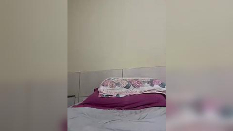 Media: Video of a modest bedroom corner with a bed covered in a maroon bedspread, adorned with floral-patterned pillows. The walls are painted beige, creating a serene, minimalist atmosphere.