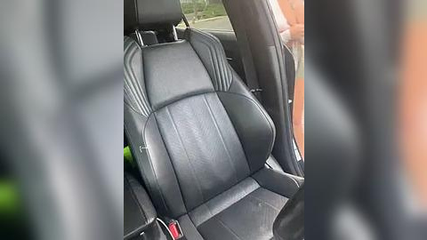 Media: Video of a black leather car seat with white stitching, seen through a car window with blurred greenery outside.