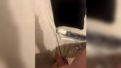 Media: A close-up video showing a person's hand stitching a beige fabric garment, with a blurred background suggesting an indoor setting.
