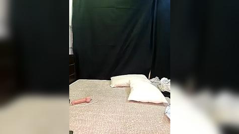 Media: Video of a messy bedroom with a beige bedspread, a pink vibrator on the left, a white pillow, and a green curtain partially drawn.