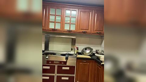 Media: Video of a modern kitchen with stainless steel appliances, wooden cabinets with glass-front doors, and a countertop cluttered with utensils, dishes, and a large pot.