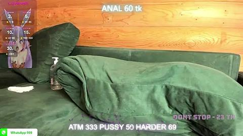 Media: A video of a messy green couch with a green blanket, a purple plush toy, and a bottle of lube, set against a wooden wall, with a digital display showing anal penetration simulation details.