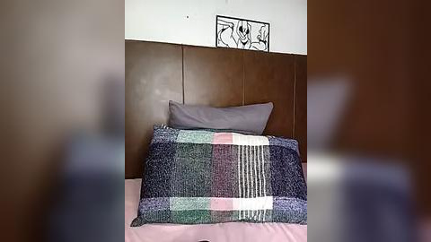 Media: Video of a neatly made bed with a dark brown leather headboard, covered in a multicolored plaid blanket and a gray pillow. Above the bed, a black-framed cartoon drawing is mounted on the white wall.