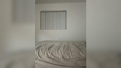 Media: A video of a minimalist, empty room with a beige bed covered in wrinkled sheets, a vertical blind window, and white walls. The room has a sparse and somewhat neglected appearance.