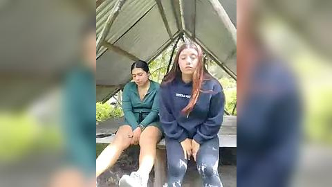 Media: Video of two young women, one with long red hair, sitting on a bench under a green tent in a park, wearing distressed jeans and dark sweaters.