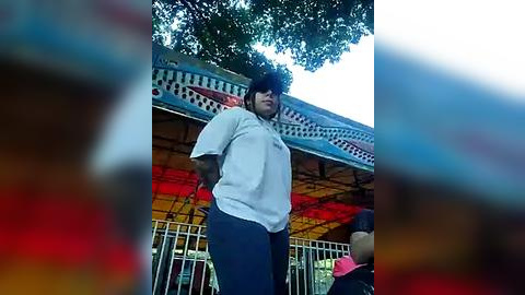 Media: Video of a middle-aged man with a large Afro hairstyle and sunglasses, wearing a white t-shirt and dark pants, standing in front of a colorful, ornate carnival ride with a red and yellow canopy.