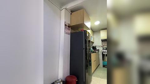 Media: Video of a narrow kitchen with a tall black fridge, wooden cabinet above, and white walls. A red pot is on the floor.