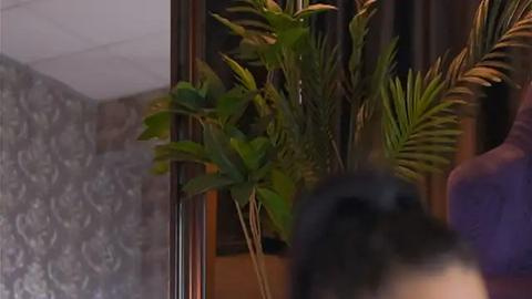 Media: A video of a living room with a large potted palm plant, a textured wall, and a person's blurred face in the foreground.