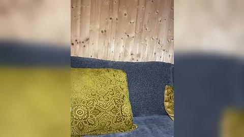 Media: Video of a cozy living room corner featuring a light wooden wall, a deep blue sofa with yellow and blue pillows, and a yellow cushion with intricate floral patterns.