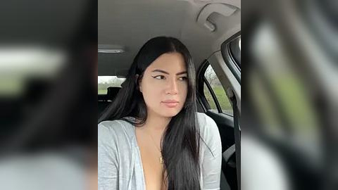 Media: Video of a young woman with long, straight black hair, wearing a light gray V-neck sweater, sitting in a car with a blurred background.