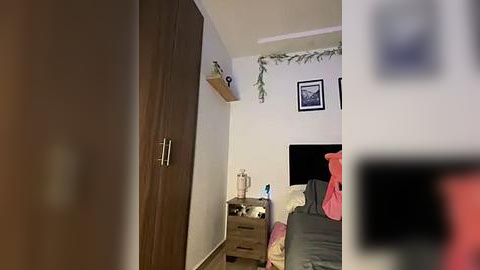 Media: Video of a cozy bedroom with a wooden wardrobe, a small bedside table, and a bed with pink bedding, adorned with a green garland above.