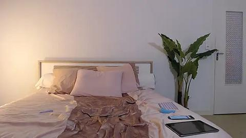 Media: Video of a minimalist, dimly lit bedroom with a neatly made bed, two pillows, a brown blanket, and a bedside table holding a smartphone and a book. A tall potted plant stands beside a closed white door.