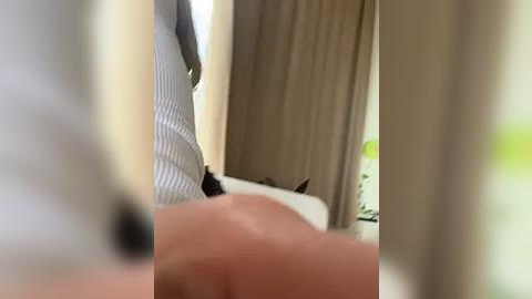 Media: A blurred video of a person in a white striped shirt, with a black cat sitting on a bed, partially visible behind beige curtains.