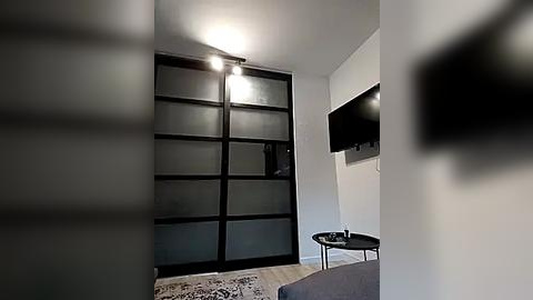 Media: Video of a modern, minimalist living room with a large, frosted glass sliding door, a flat-screen TV mounted on the wall, a small round black table, and a plush grey sofa.