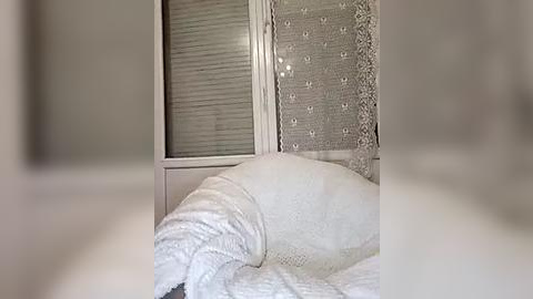 Media: A video of a cozy bedroom featuring a white quilted blanket, a lace curtain, and a window with blinds. The scene exudes a serene, minimalist aesthetic with soft, muted colors.