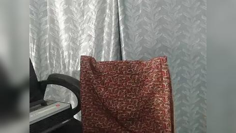 Media: A video of a partially visible, red-patterned chair with a black armrest, against a backdrop of silver, leaf-patterned curtains.