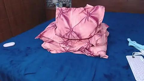 Media: A video of a pink satin pillow and a light blue laptop on a royal blue bedspread, set against a wooden-paneled wall.