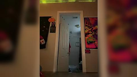 Media: Video of a dimly lit hallway with a white door leading to a room. The walls are adorned with colorful posters and a Halloween decoration. The scene is slightly out of focus.