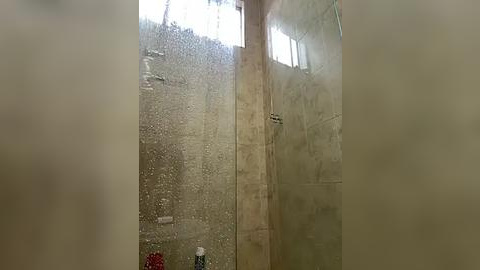 Media: Video of a dimly lit shower with frosted glass door, beige tiled walls, and a vertical textured column, featuring a red bottle on the floor.