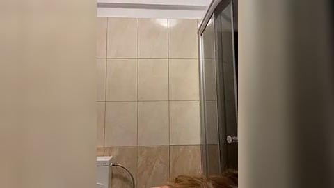 Media: Video of a minimalist bathroom featuring beige-tiled walls, a glass shower cubicle with a chrome handle, and a white toilet with a silver faucet.