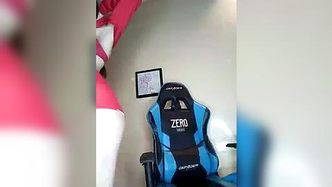 Media: Video of a modern gaming setup with a blue and black Zowie gaming chair, featuring the word \"ZERO\" on the backrest, positioned in front of a white wall adorned with a framed art piece and a red curtain.