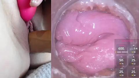 Media: Video of a close-up of a pink, wet, and shiny vaginal canal with a pink dildo partially inserted. The background shows a hand with manicured nails holding the dildo.