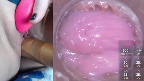 Media: A close-up video of a pink, vibrating dildo penetrating a vagina, with a detailed, close-up view of the pink, wet, and glistening vulva. The image includes a numerical display on the right side.